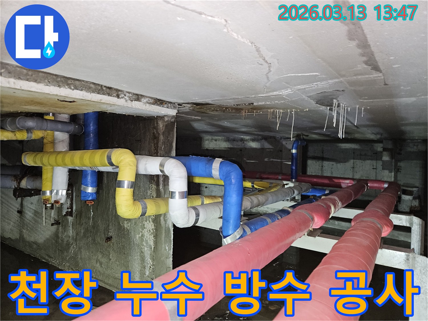 지하 천장에서-물이 떨어져-바닥에 고인 물과-천장의 손상 흔적을-보여주는 현장 사진