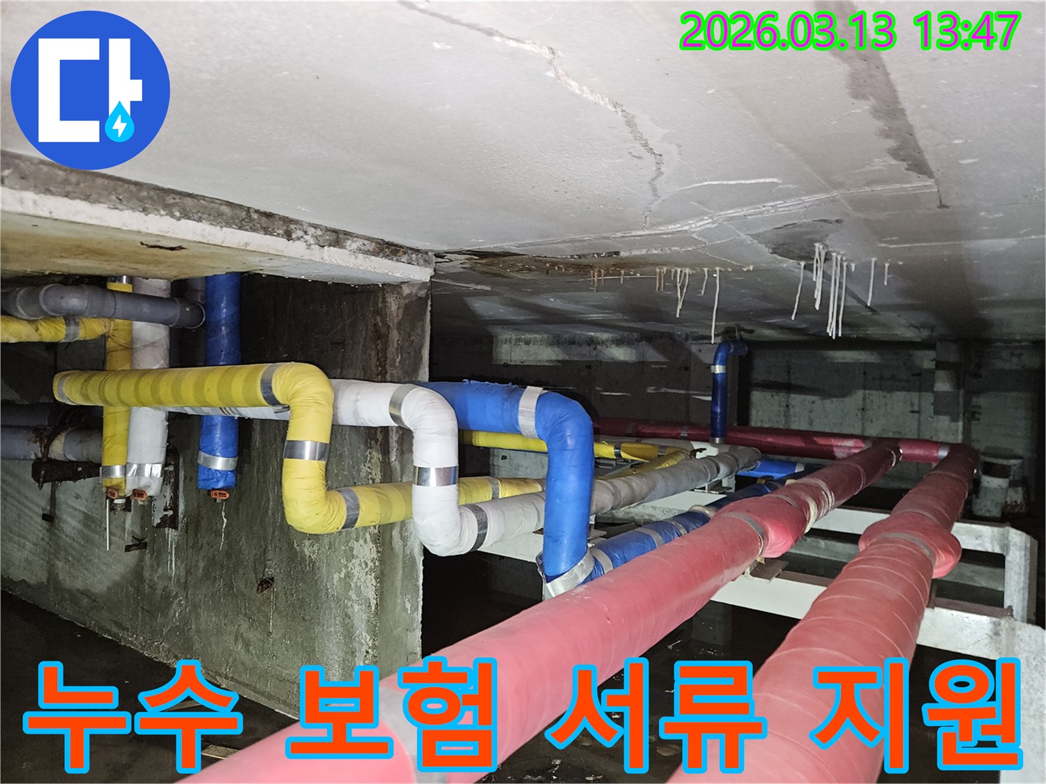 지하 천장에서-물이 떨어져-바닥에 고인 물과-천장의 손상 흔적을-보여주는 현장 사진