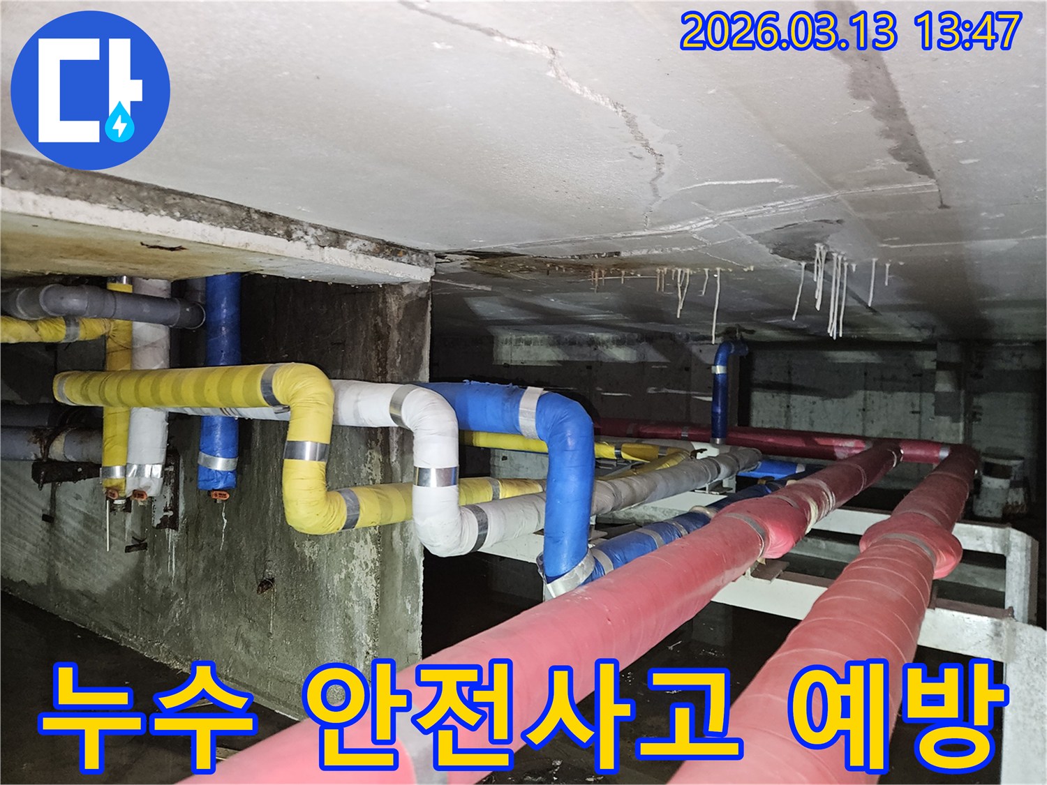 지하 천장에서-물이 떨어져-바닥에 고인 물이-미끄럼 사고와-전기 위험을-초래할 수 있음을-보여주는 현장 사진