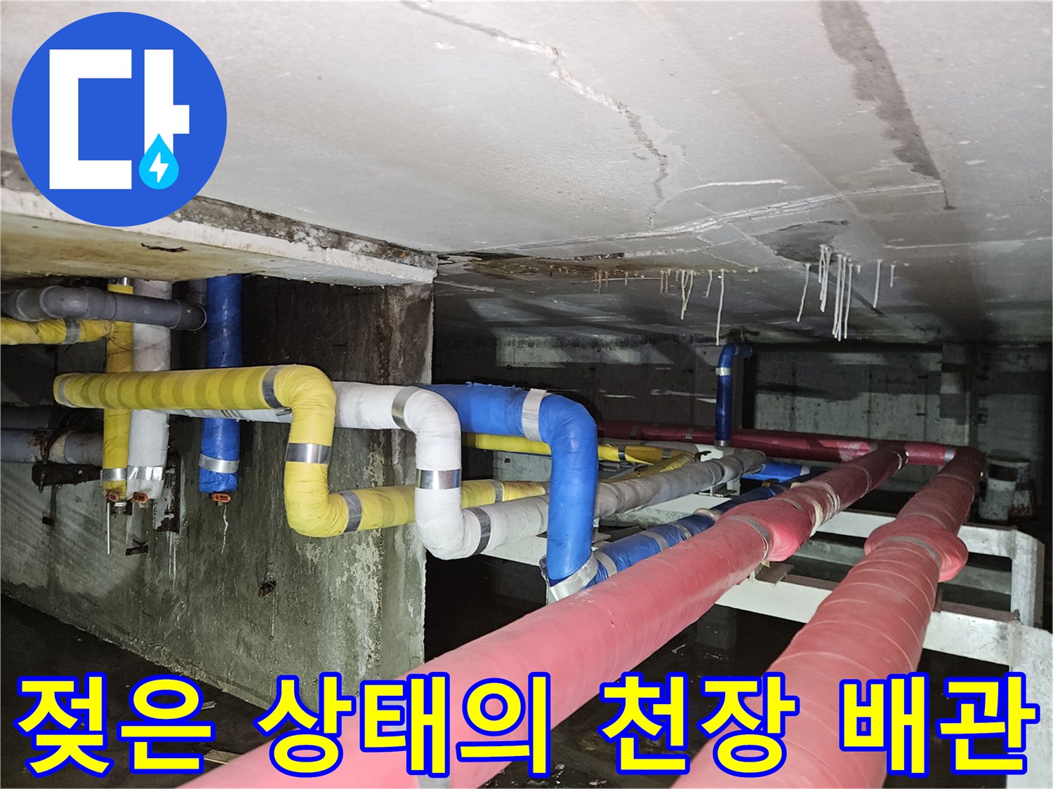 지하층 천장 내부 배관 - 습기가 발견된 누수 의심 구역