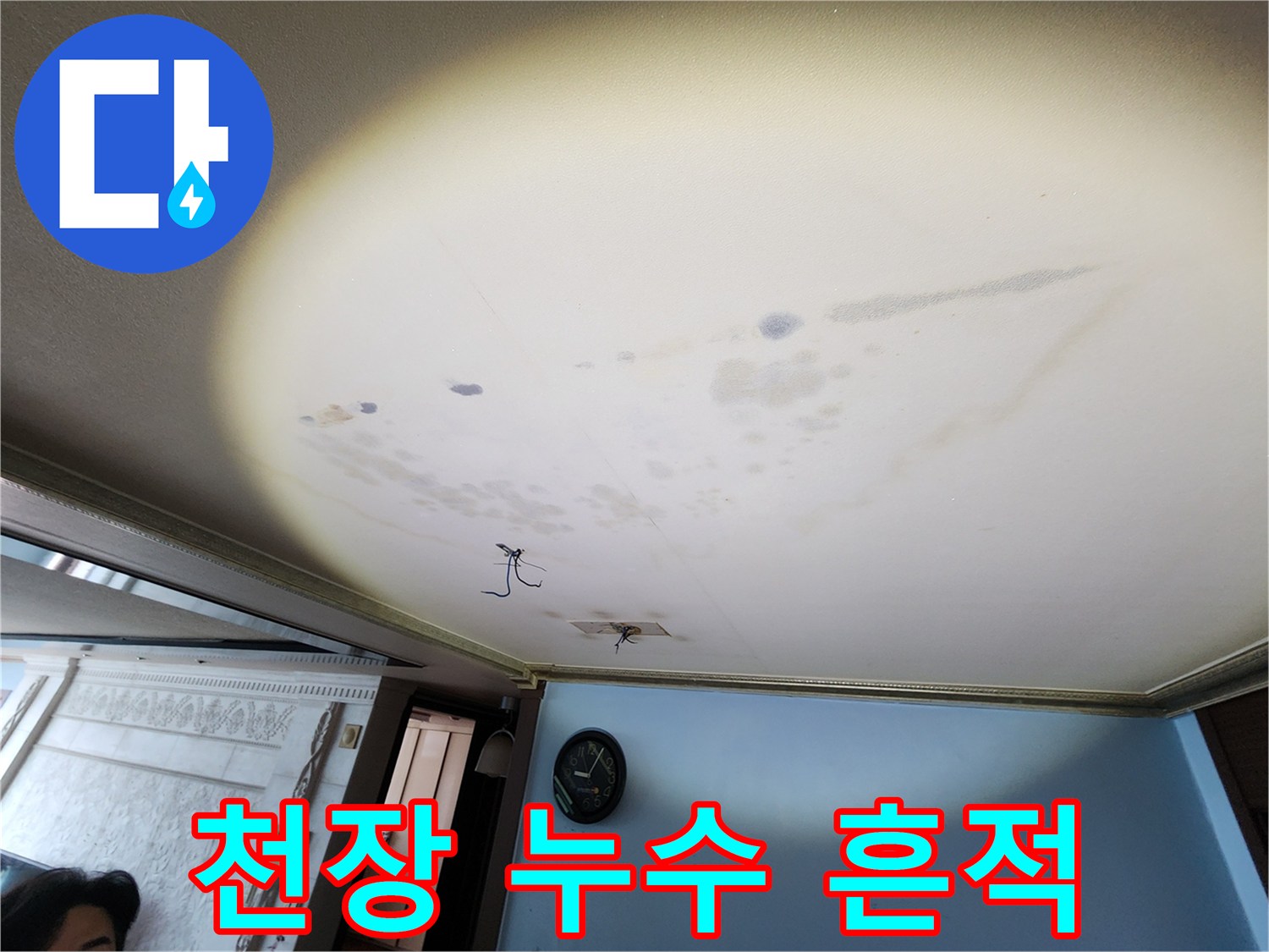 넓은 범위로 번진 천장 물자국 및 곰팡이 발생 부위