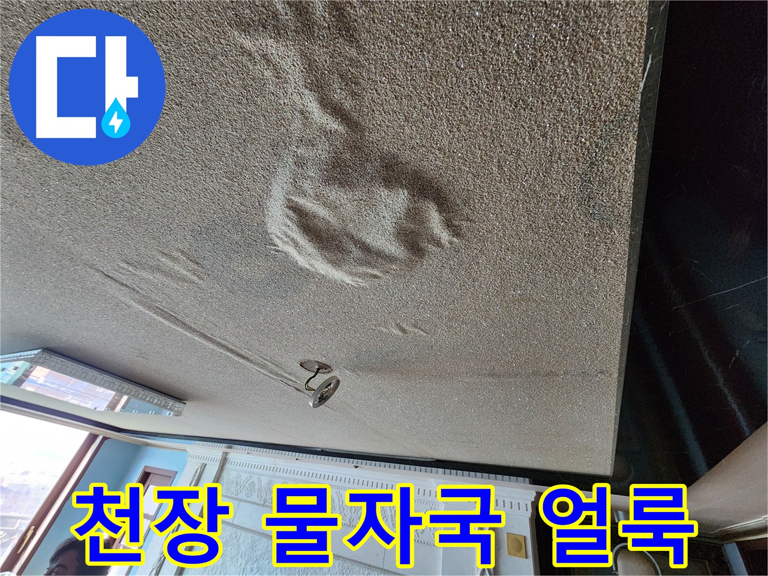 아랫집 천장에 발생한 젖은 물자국과 얼룩 상태