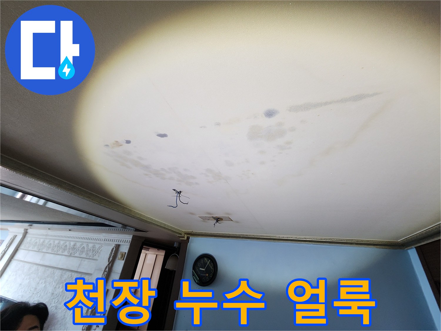 천장 마감재에 발생한 누수 흔적과 곰팡이 부위