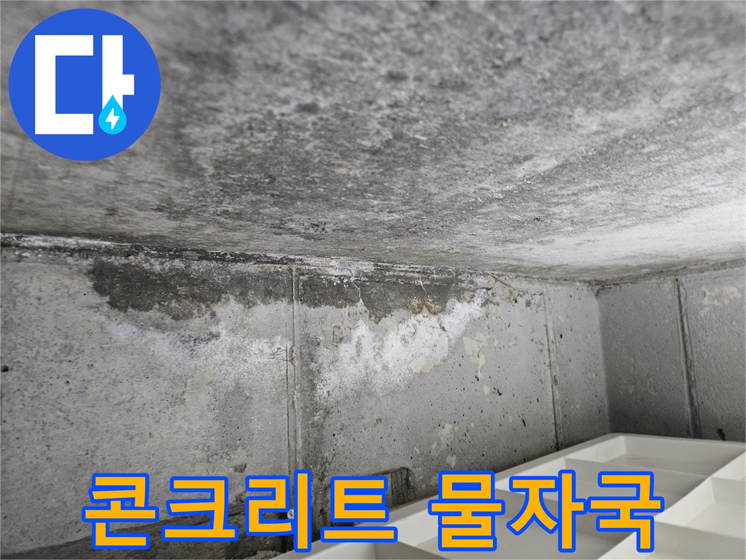 양천구 현장-콘크리트 슬래브에 발생한 하얀 백화현상과 습기 흔적