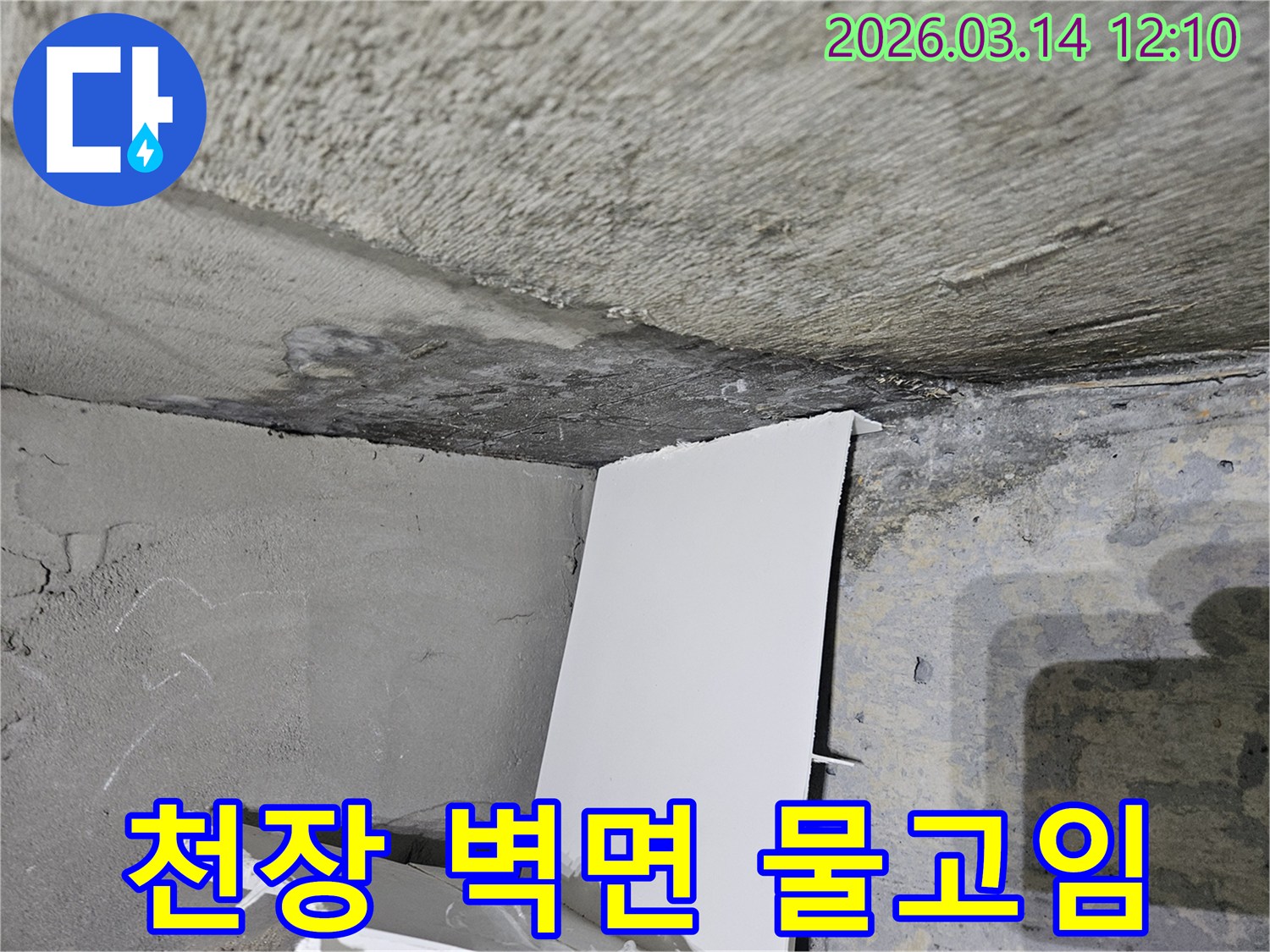 천장과-벽면의-접합부에서-발견된-물고임-현상을-통해-누수-심각도를-진단하는-현장-사진
