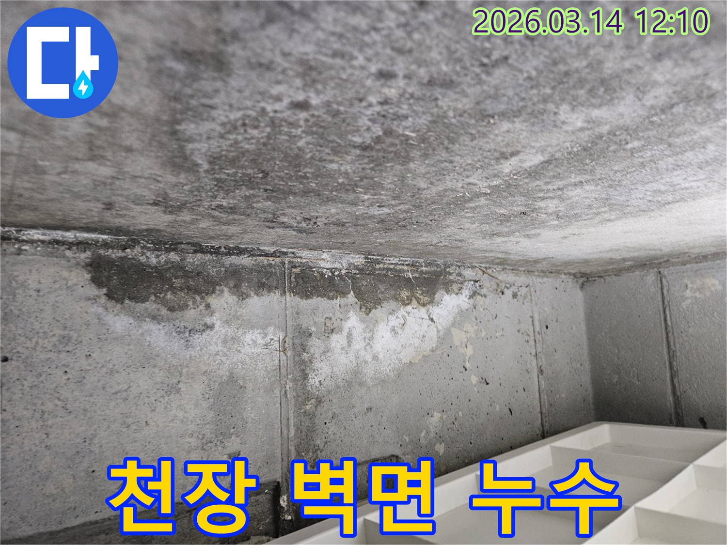 콘크리트-천장과-벽면-경계에서-발견된-누수-흔적과-습기-오염