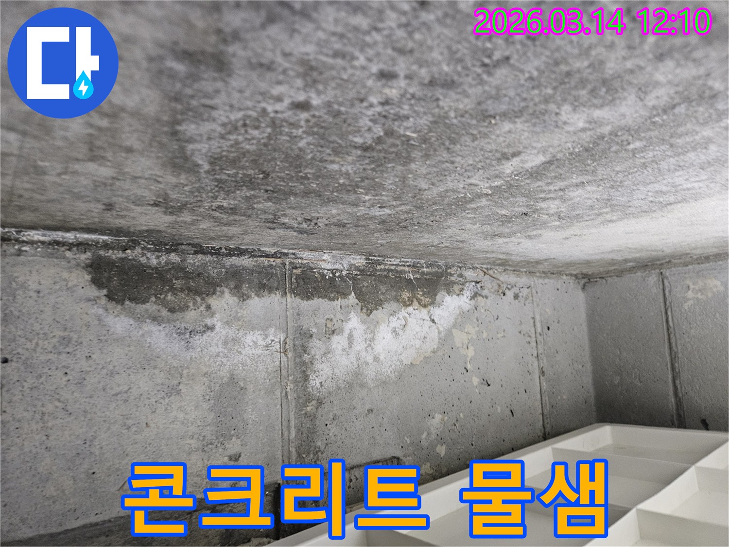 콘크리트-천장과-벽면-경계에서-발생한-물샘-현상과-습기-오염