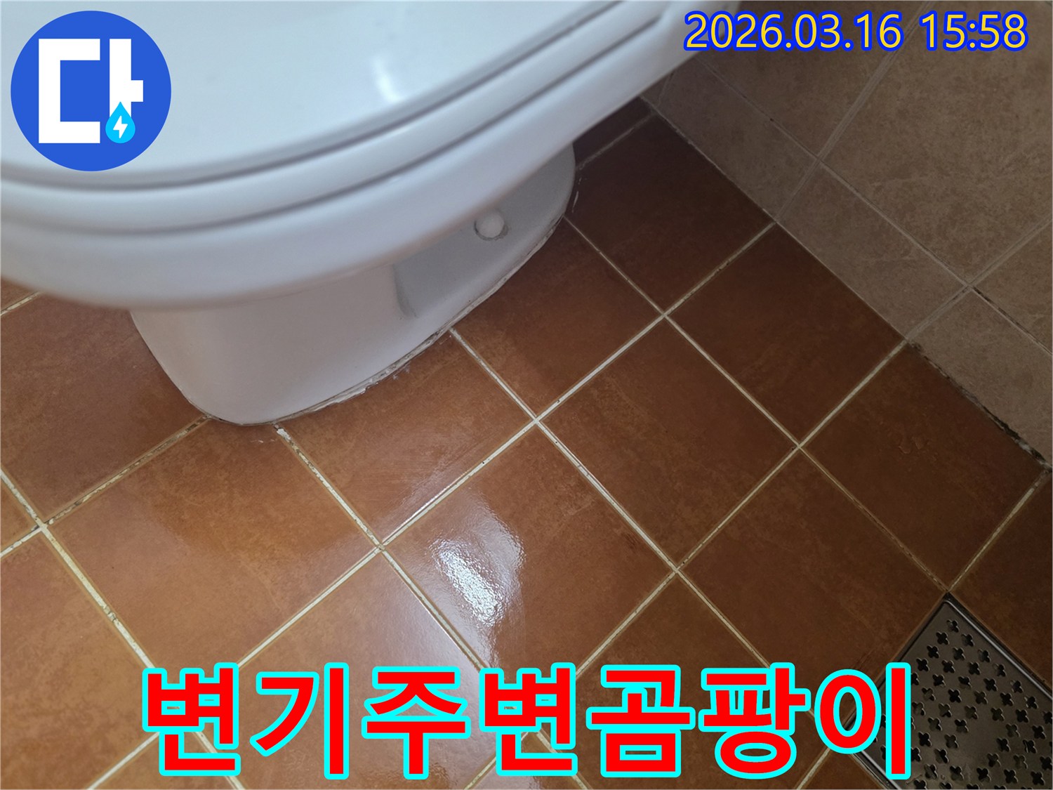 변기 하부 주변에-물기가 지속되어-곰팡이가 발생할-수 있는-누수 현장입니다