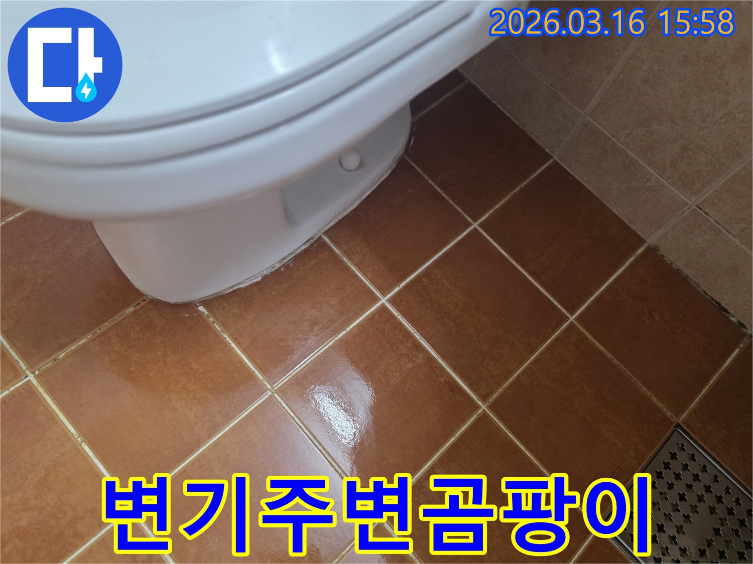 변기 하부 주변에-물기가 지속되어-곰팡이가 발생할-수 있는-누수 현장입니다