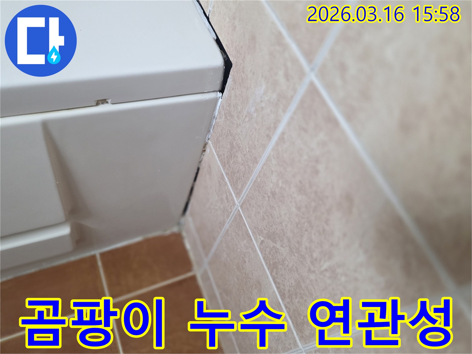 욕실 코너 실리콘의 검은 곰팡이-지속적인 습기와 누수의 명확한 징후