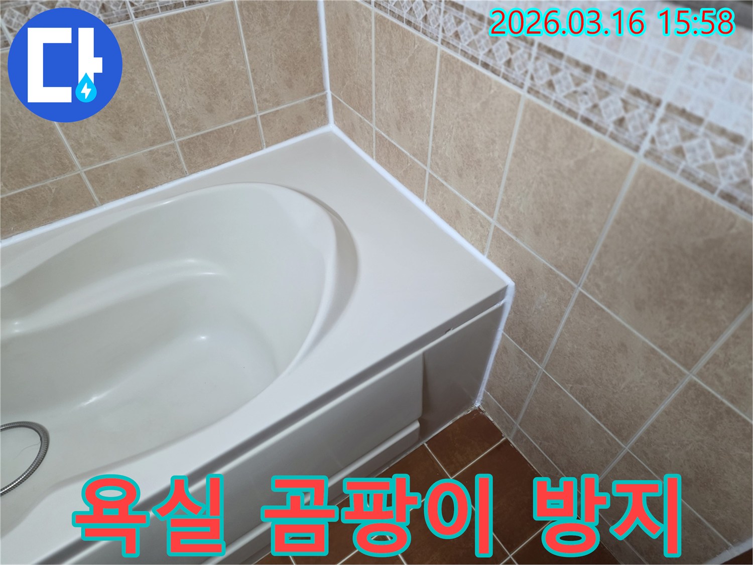 욕실-타일-틈새를-새로운-방수-실리콘으로-마감하여-곰팡이-발생을-억제하는-작업입니다.