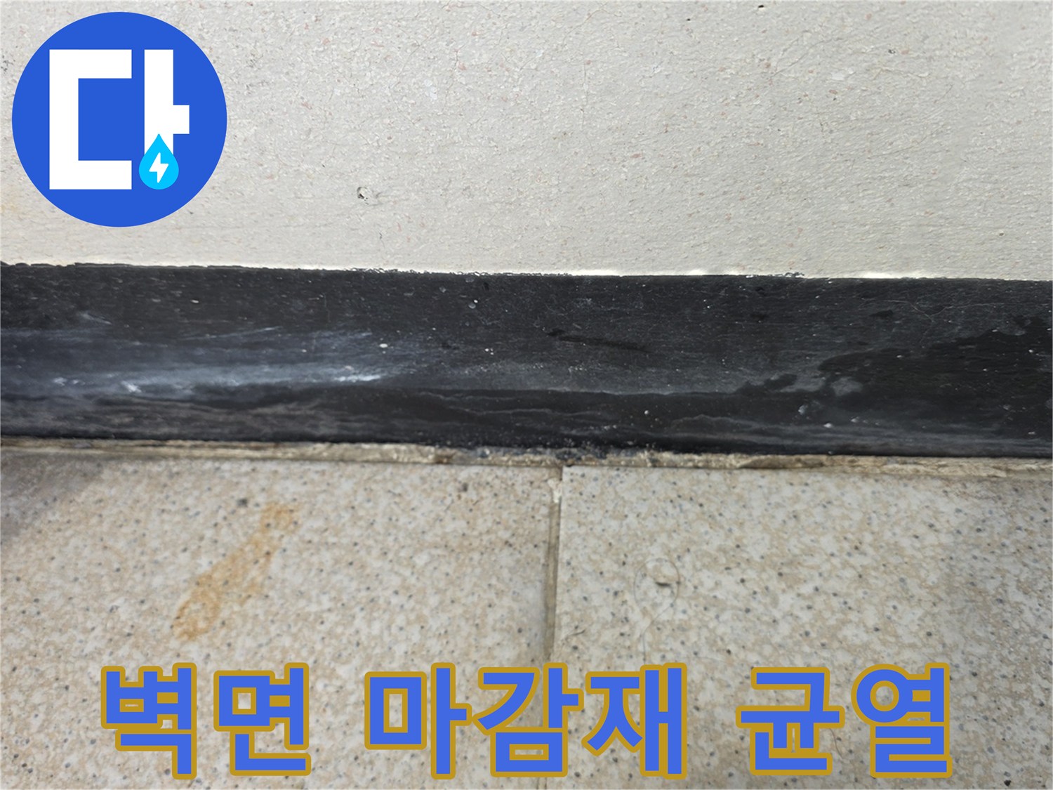 누수가-발생한-화장실-벽면-하부-틈새