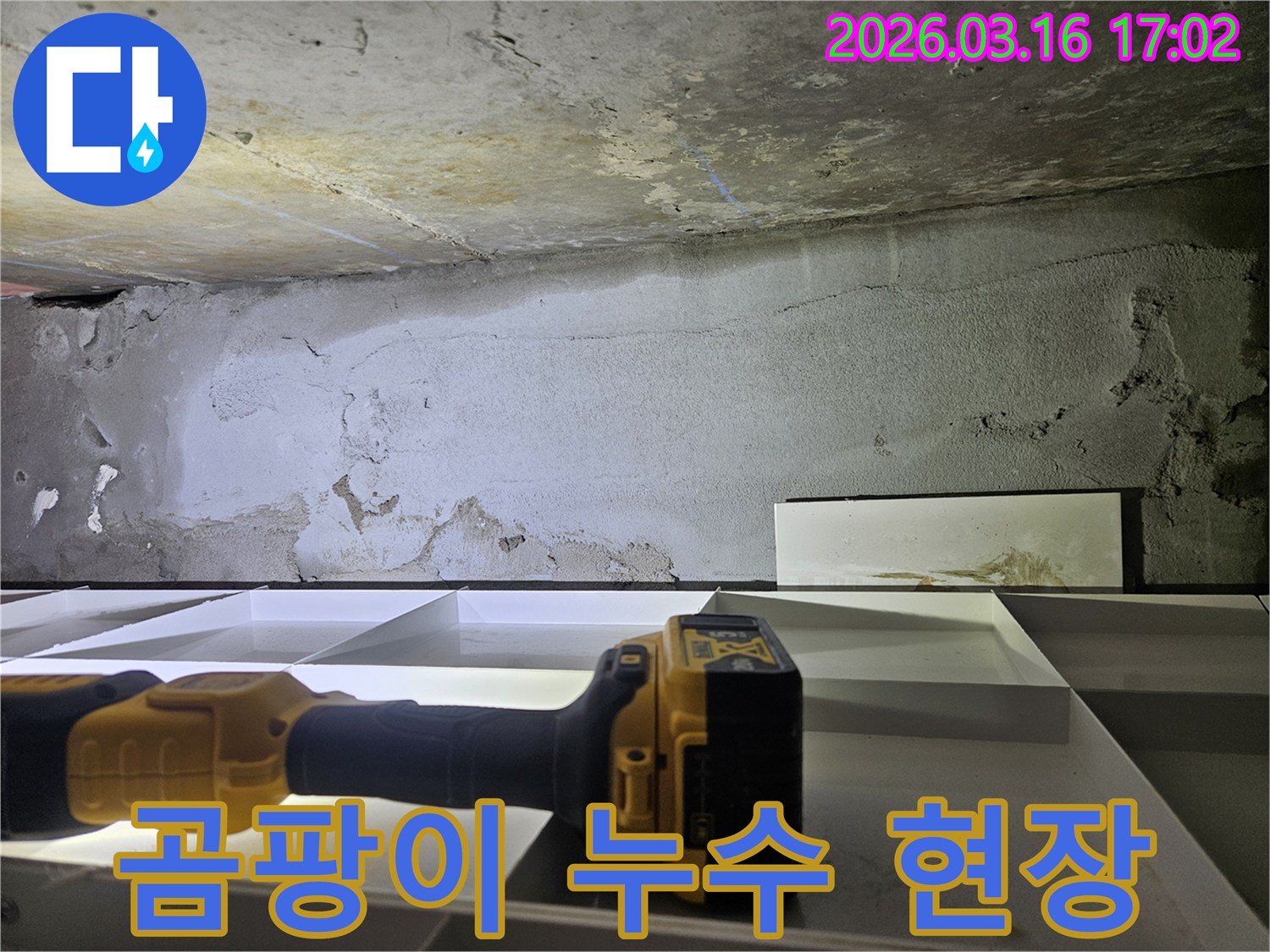 누수 엔지니어가-곰팡이가 발생한-누수 현장을-정밀하게 진단하는 모습