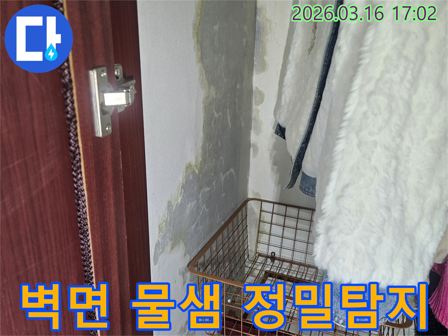 벽면 하단에- 물이 새어- 얼룩지고- 곰팡이가 피어있는- 누수 현장