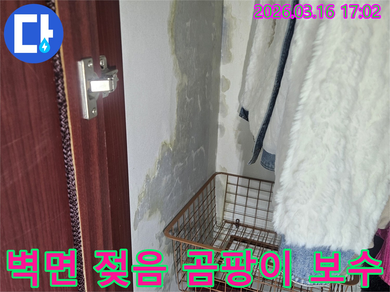 벽면 하단에- 물이 스며들어- 젖은 흔적과- 곰팡이가 발생한- 심각한 누수 현장