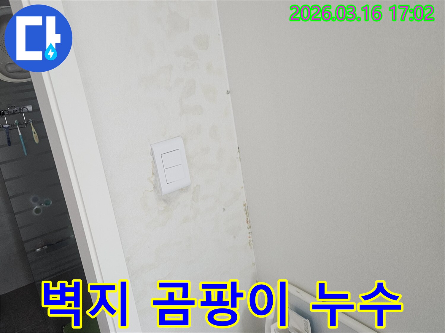 벽면에 물이 스며들어 생긴 얼룩과 함께-곰팡이가 번식하고 있는 위생적 문제가 있는 현장