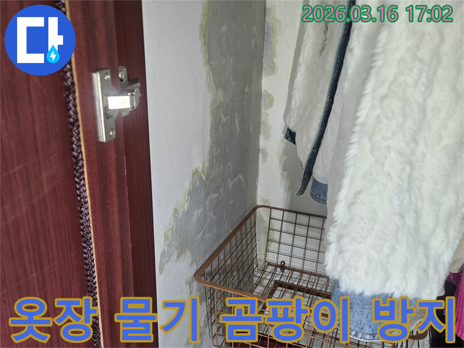 옷장 내부- 벽면에 생긴- 물기와- 곰팡이로 인한- 손상 부위