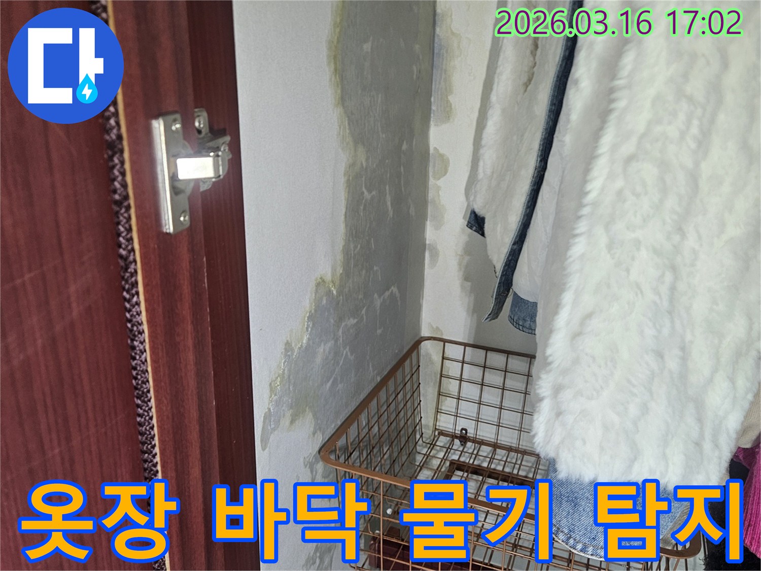 옷장 바닥에- 물이 스며들어- 얼룩지고- 곰팡이가 피어있는- 누수 현장