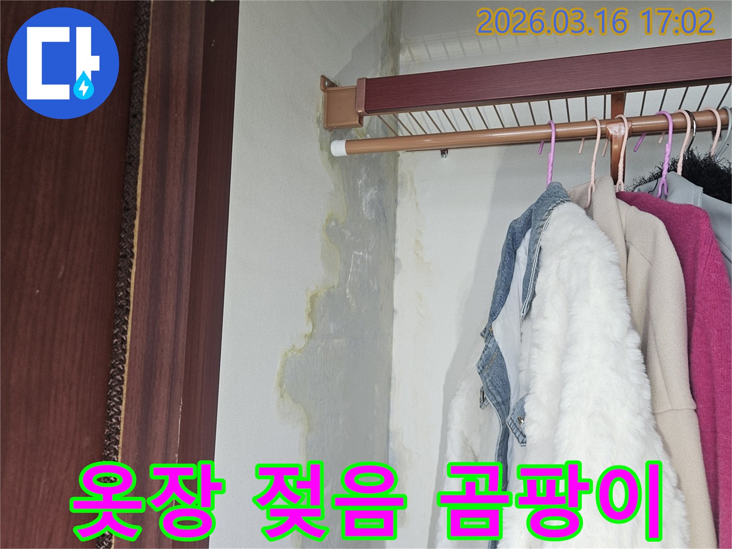 옷장 벽면 하단과 바닥에 누수로 인해 물기가 스며들고-누런 얼룩과 곰팡이가 넓게 퍼져 있는 모습