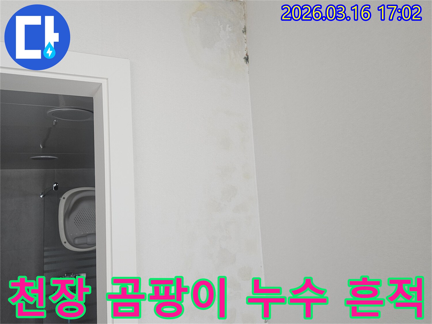 욕실 천장 모서리에 누수로 인한 곰팡이와 물자국이 선명하게 보이는 현장 사진입니다