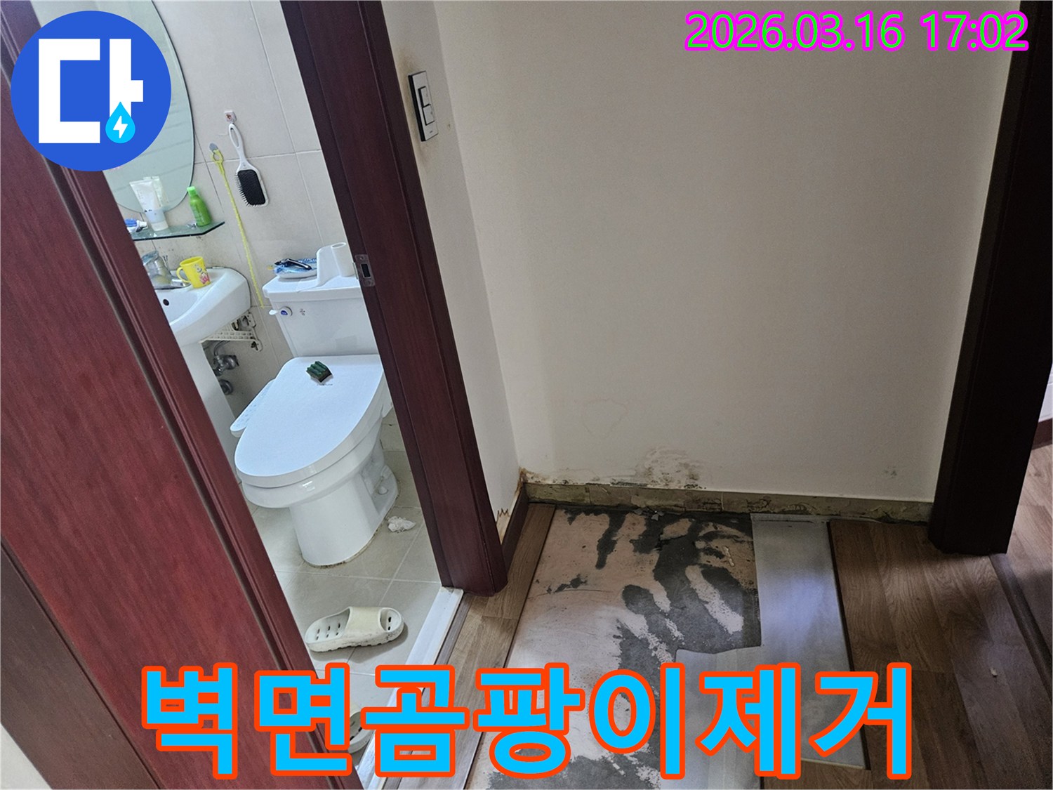 화성 병점구-화장실 누수로-인해-벽면 하단부에-심하게 번진-곰팡이와-손상된 바닥을-보여주는-현장 점검 사진