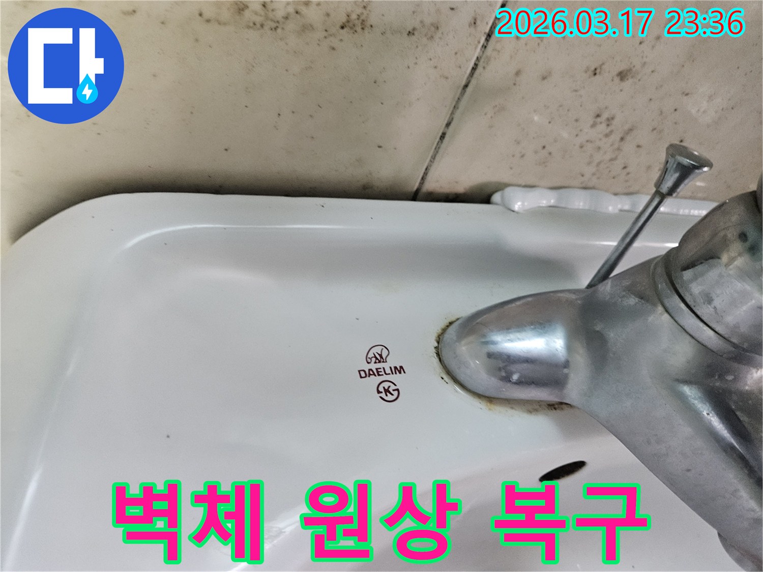 대림 세면대 벽면에- 넓게 퍼진 곰팡이와- 수도꼭지 주변의- 물샘 흔적을 보여주는 모습입니다