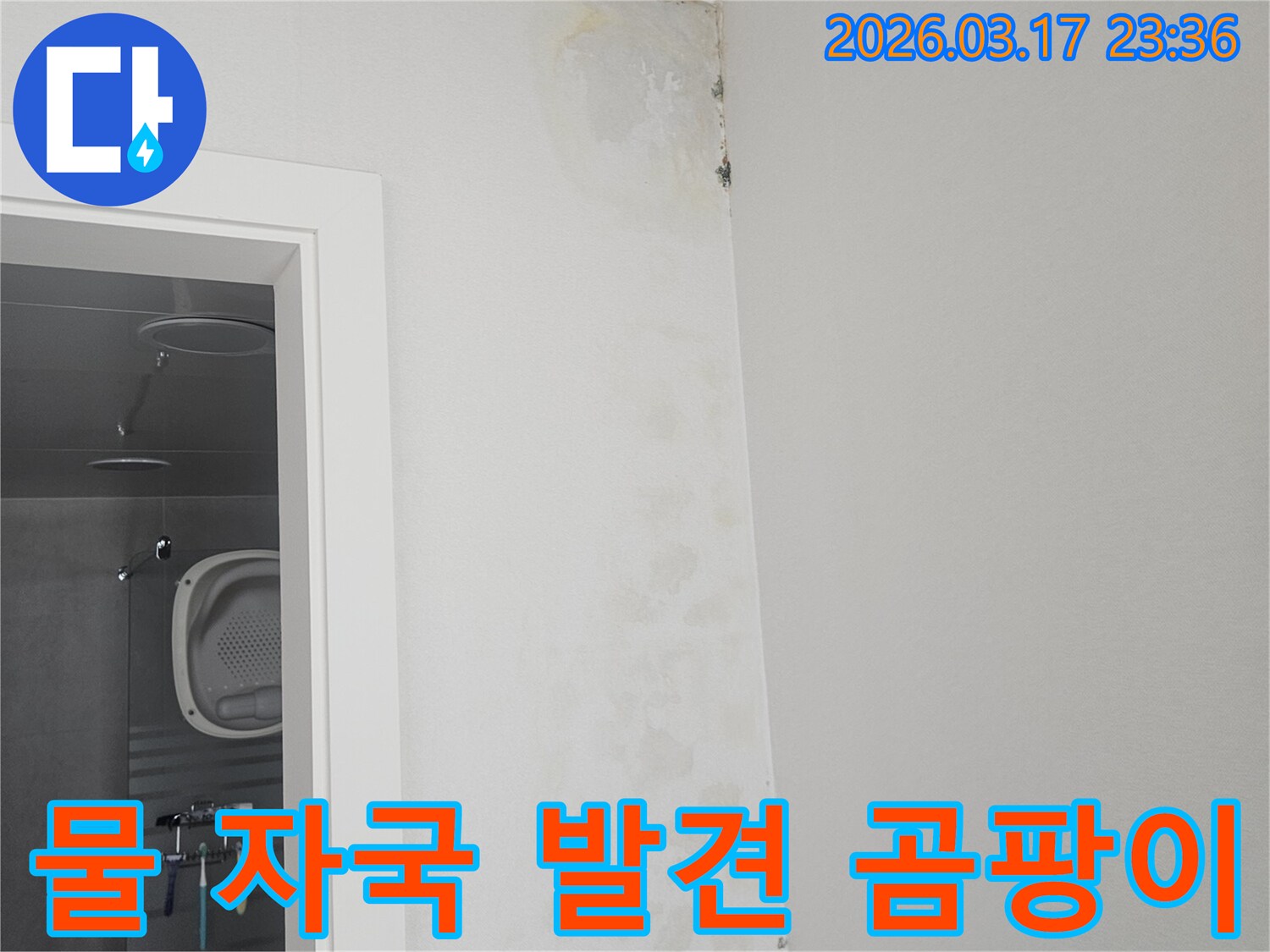 물-자국과-곰팡이-발생한-천장-벽면-모습