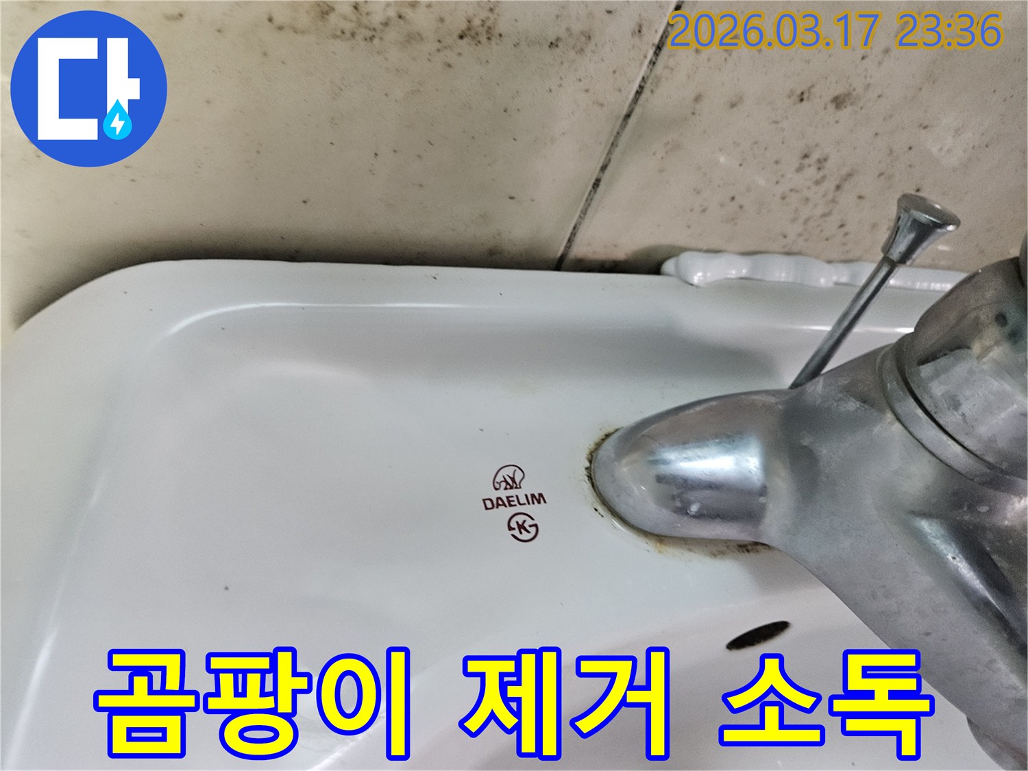 세면대 뒤편 벽에- 심각하게 번식한 곰팡이가- 전문적인 제거와- 살균 소독을 필요로 합니다