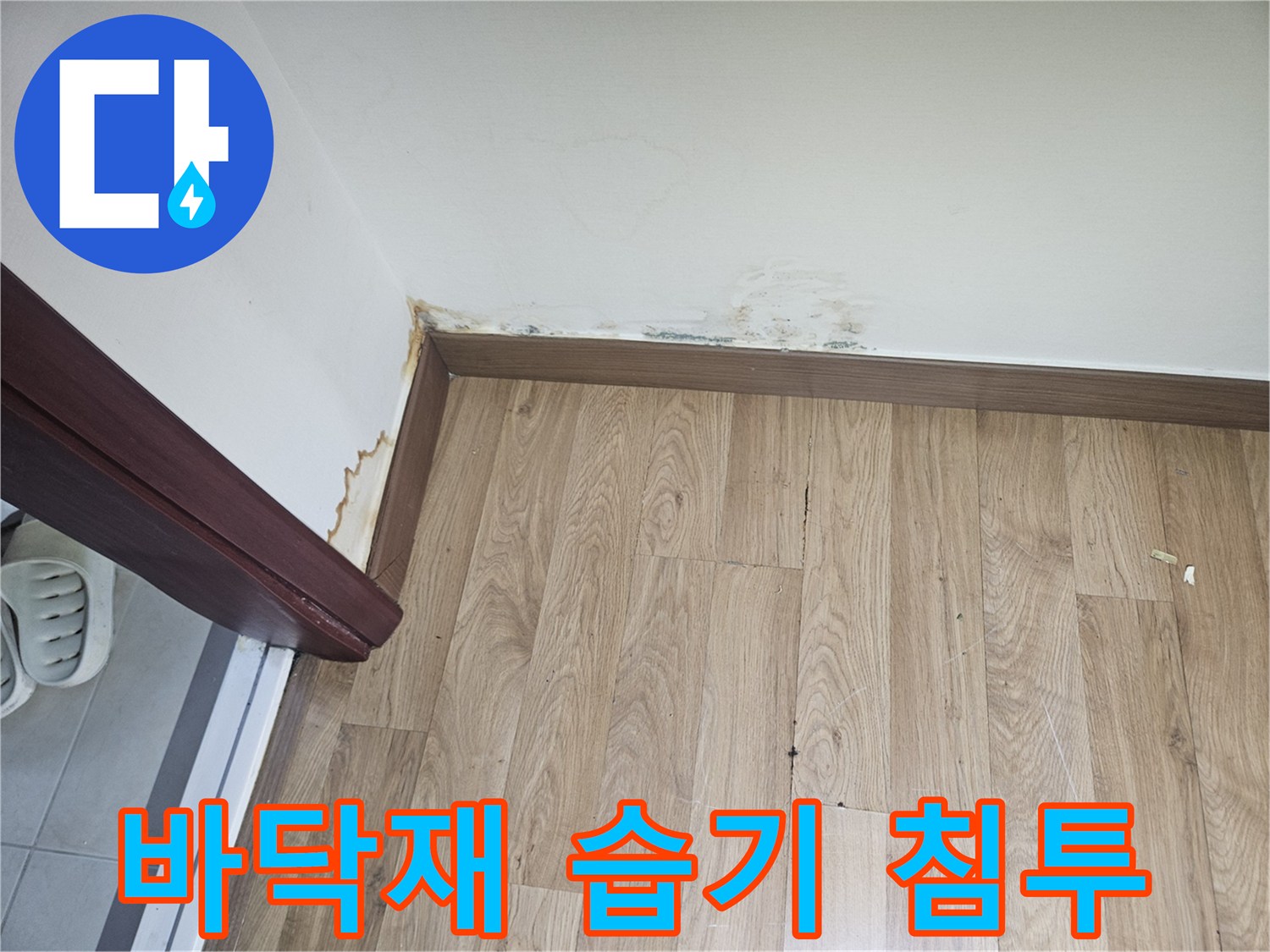 습기가 스며든 마루 바닥 가장자리 - 누수 피해 부위 상세