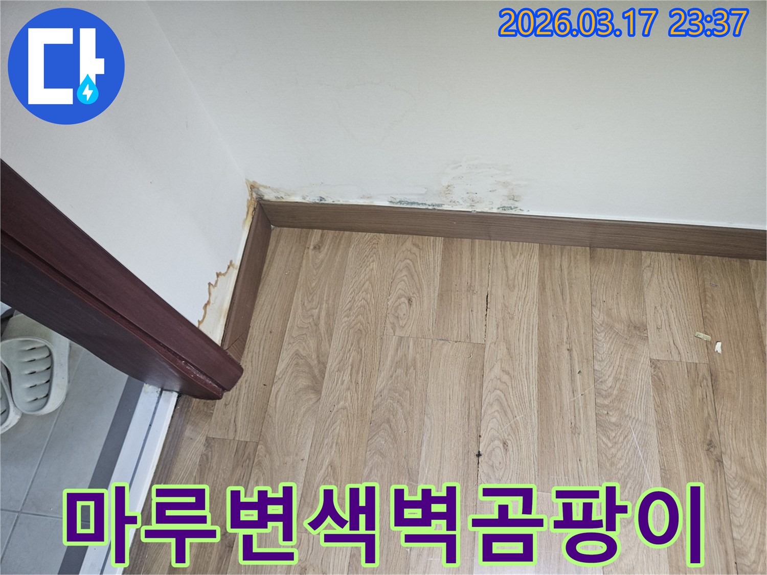 아파트 마루 변색과-벽면 곰팡이가-발생한-누수 현장-사진입니다