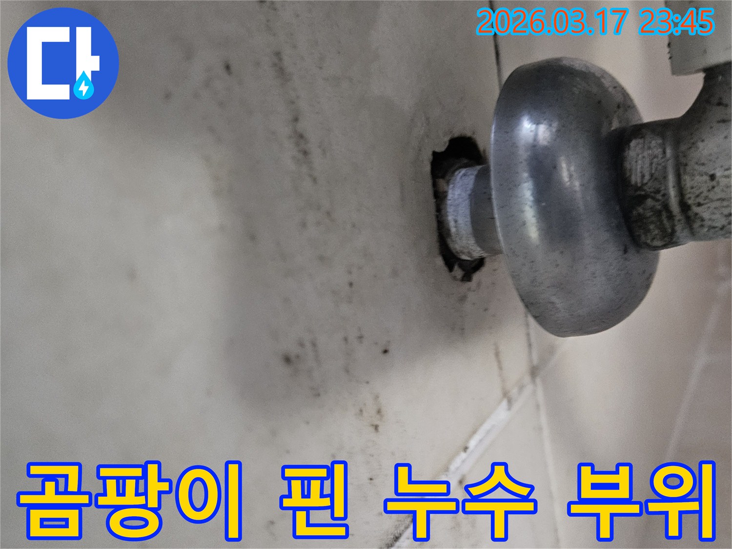오래된 배관 주변에서 물이 새어-천장 타일이 오염된 모습입니다