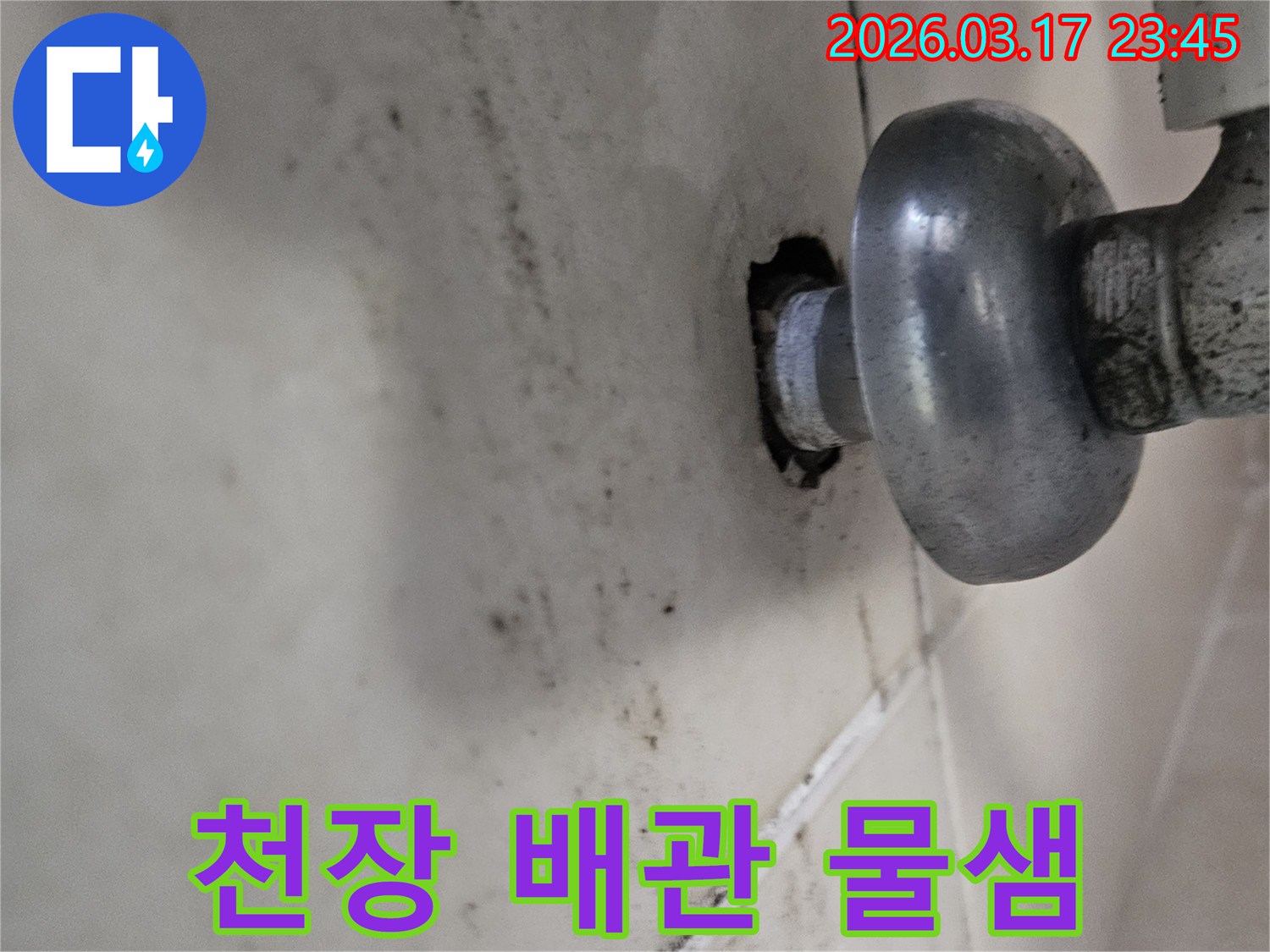 오래된 배관 주변에서 물이 새어-천장 타일이 오염된 모습입니다