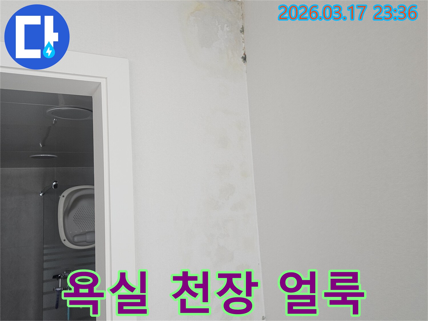 욕실-천장-모서리에-나타난-물-얼룩과-곰팡이-확인