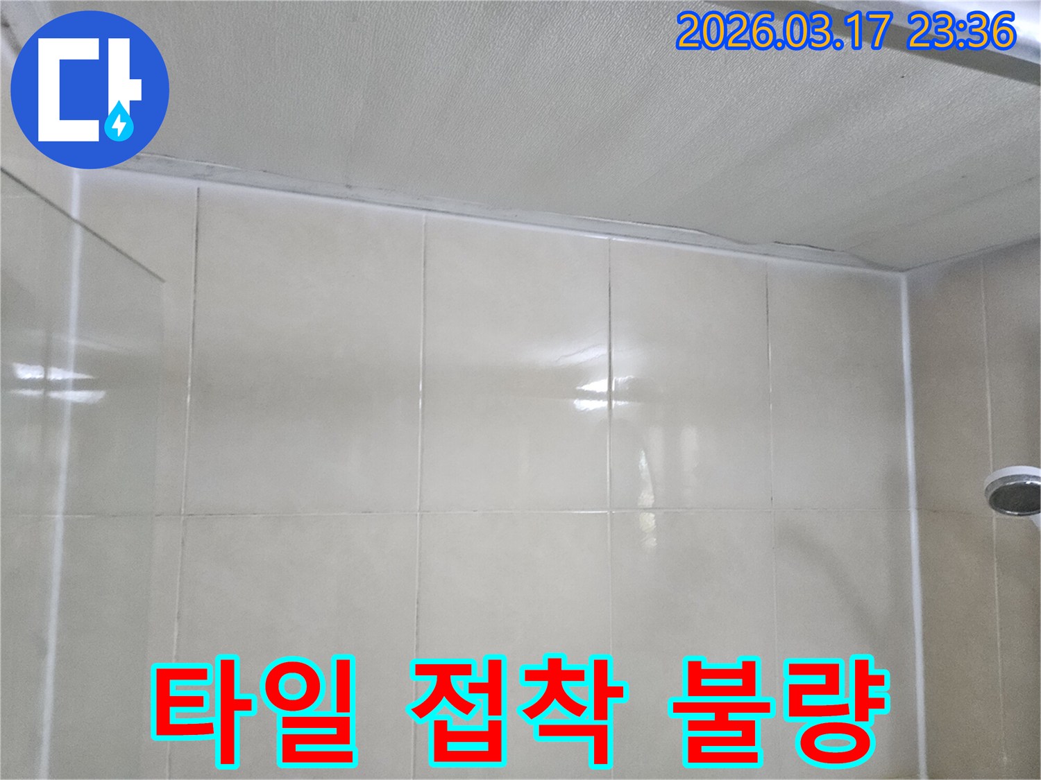이-이미지는-벽면-타일의-접착-불량-여부를-점검하여-누수-가능성을-평가하는-장면을-보여줍니다.
