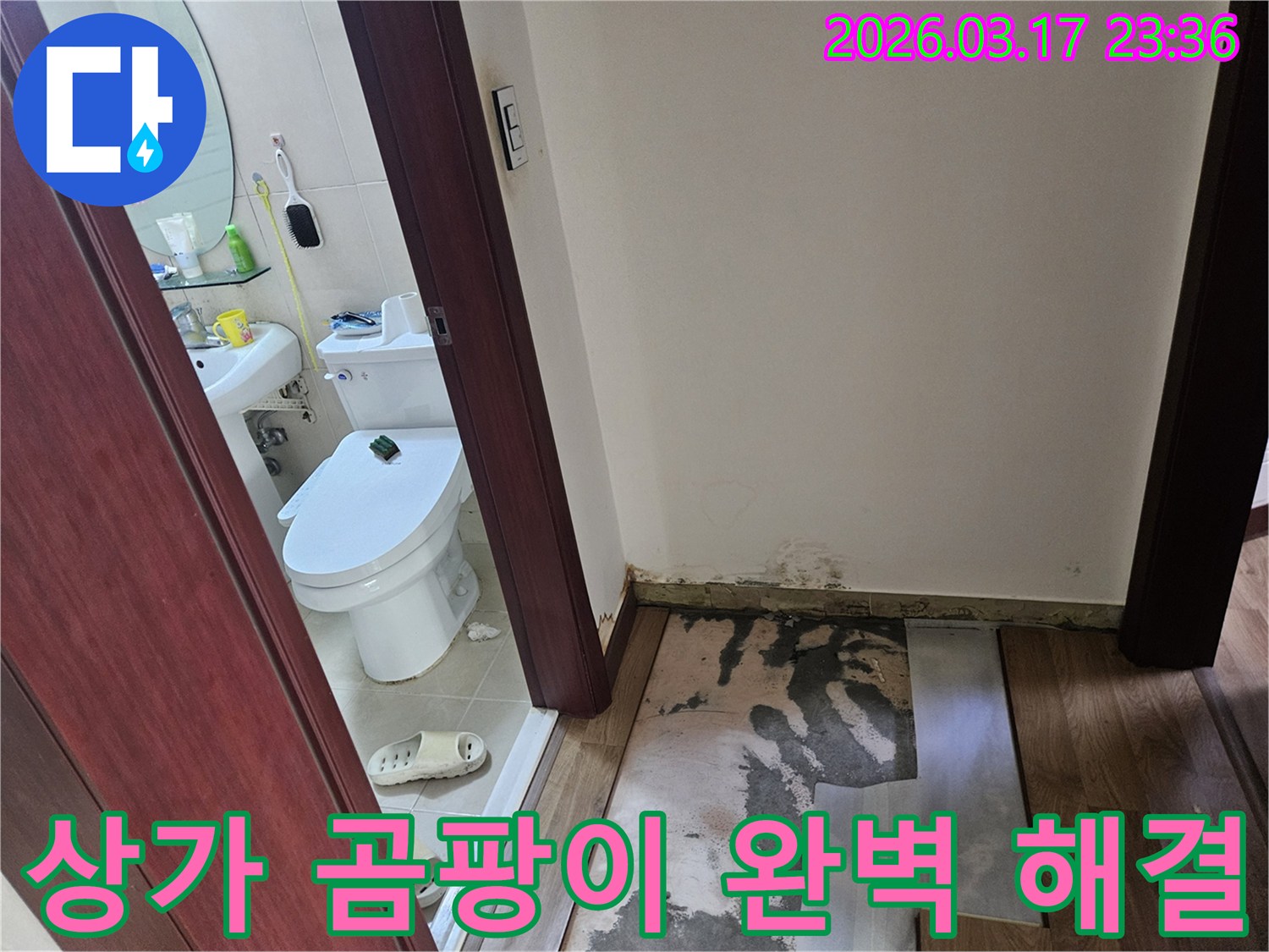 주택 내부-화장실 문 앞에서-바닥재가 손상되고-습기로 인한-곰팡이가 보이는-누수 현장