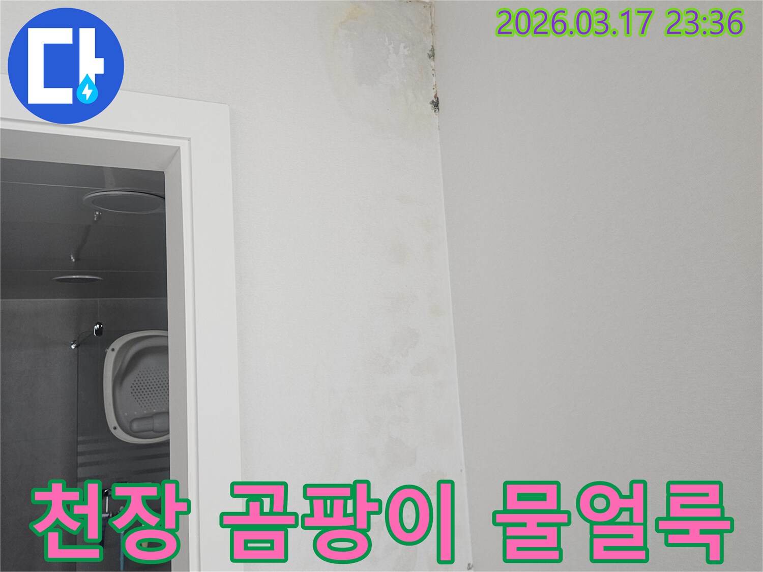 천장-모서리에-발생한-곰팡이와-물-얼룩-확인