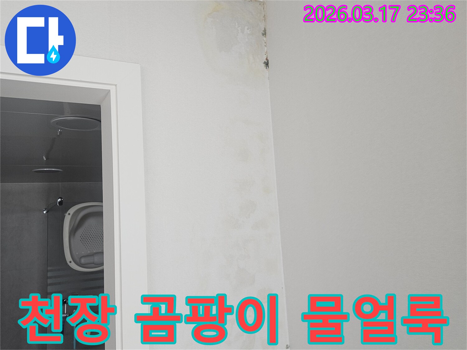 천장-모서리에-발생한-곰팡이와-물-얼룩-확인