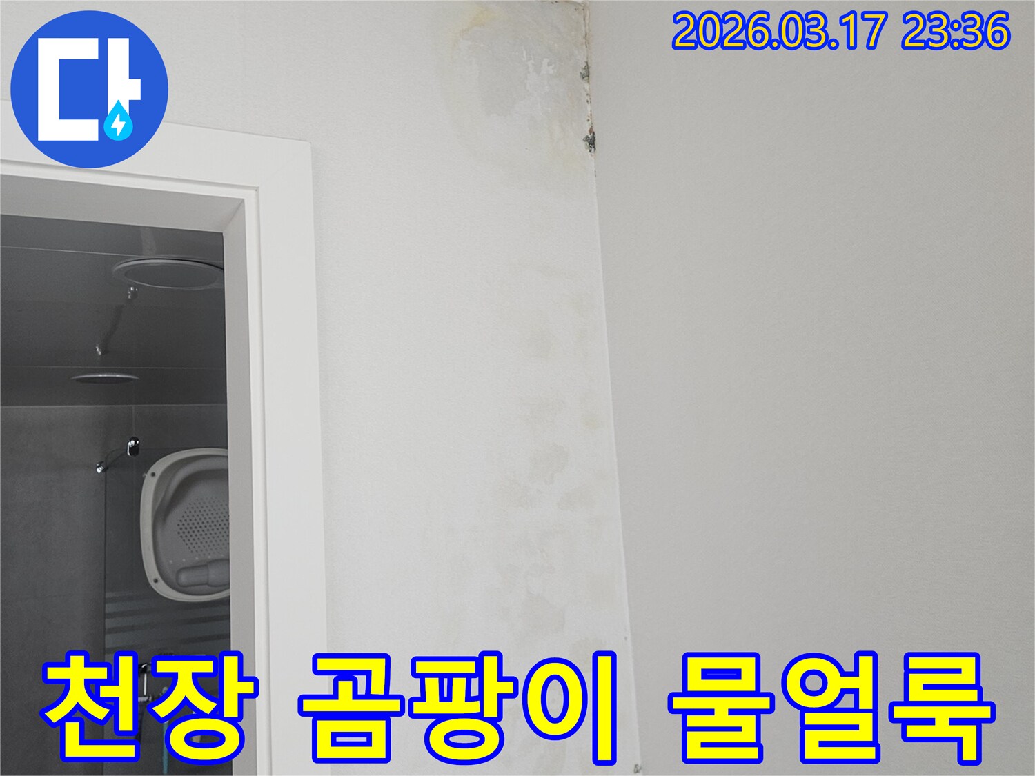 천장-모서리에-발생한-곰팡이와-물-얼룩-확인