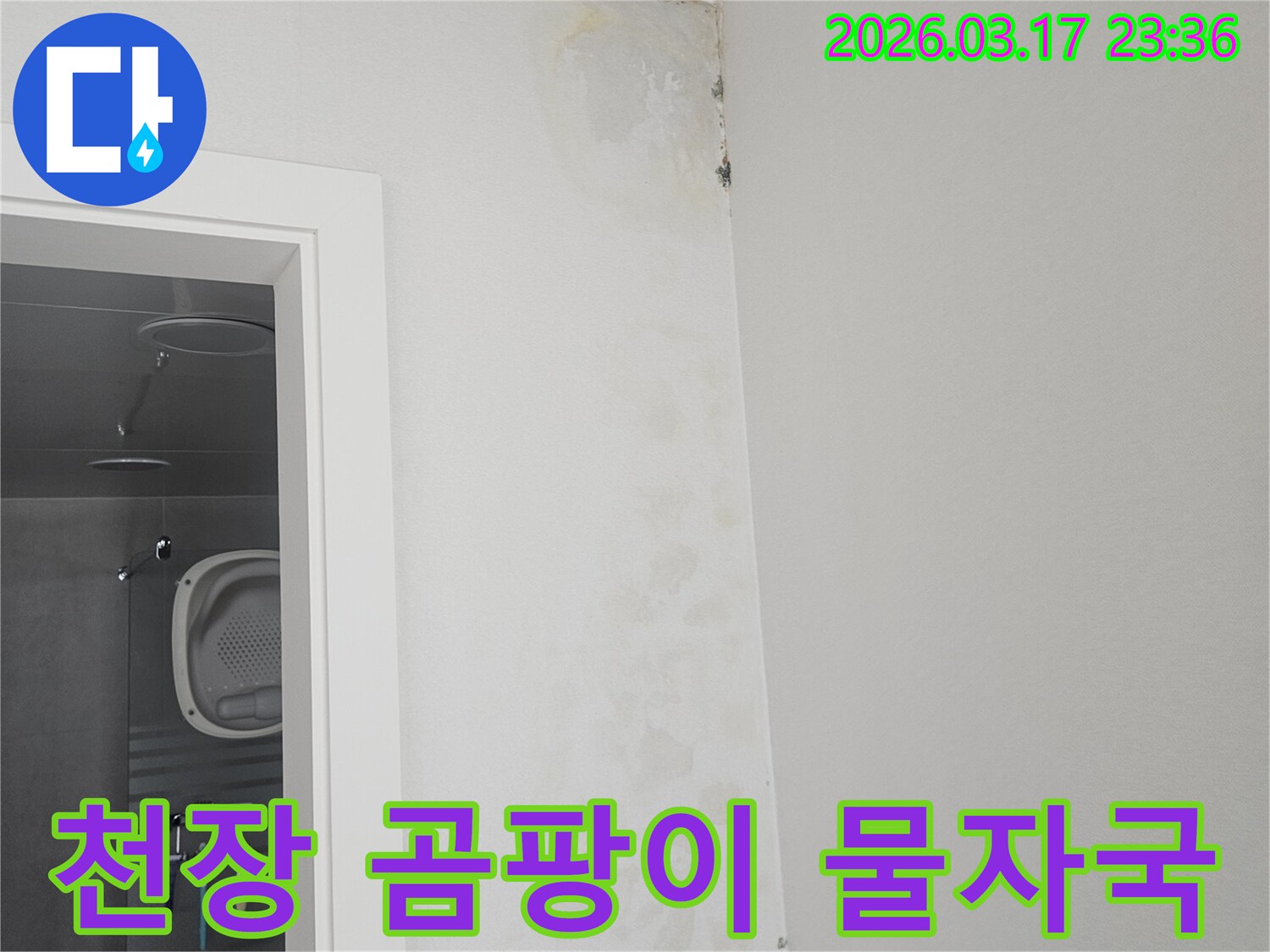 천장-모서리에-발생한-곰팡이와-물-자국-확인