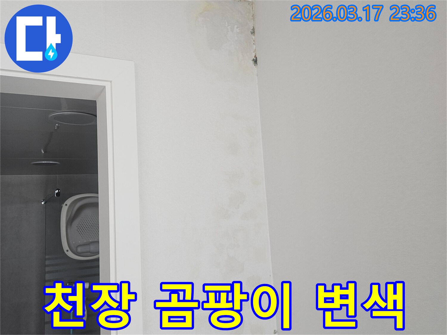 천장-모서리에-발생한-곰팡이와-변색-현상-확인