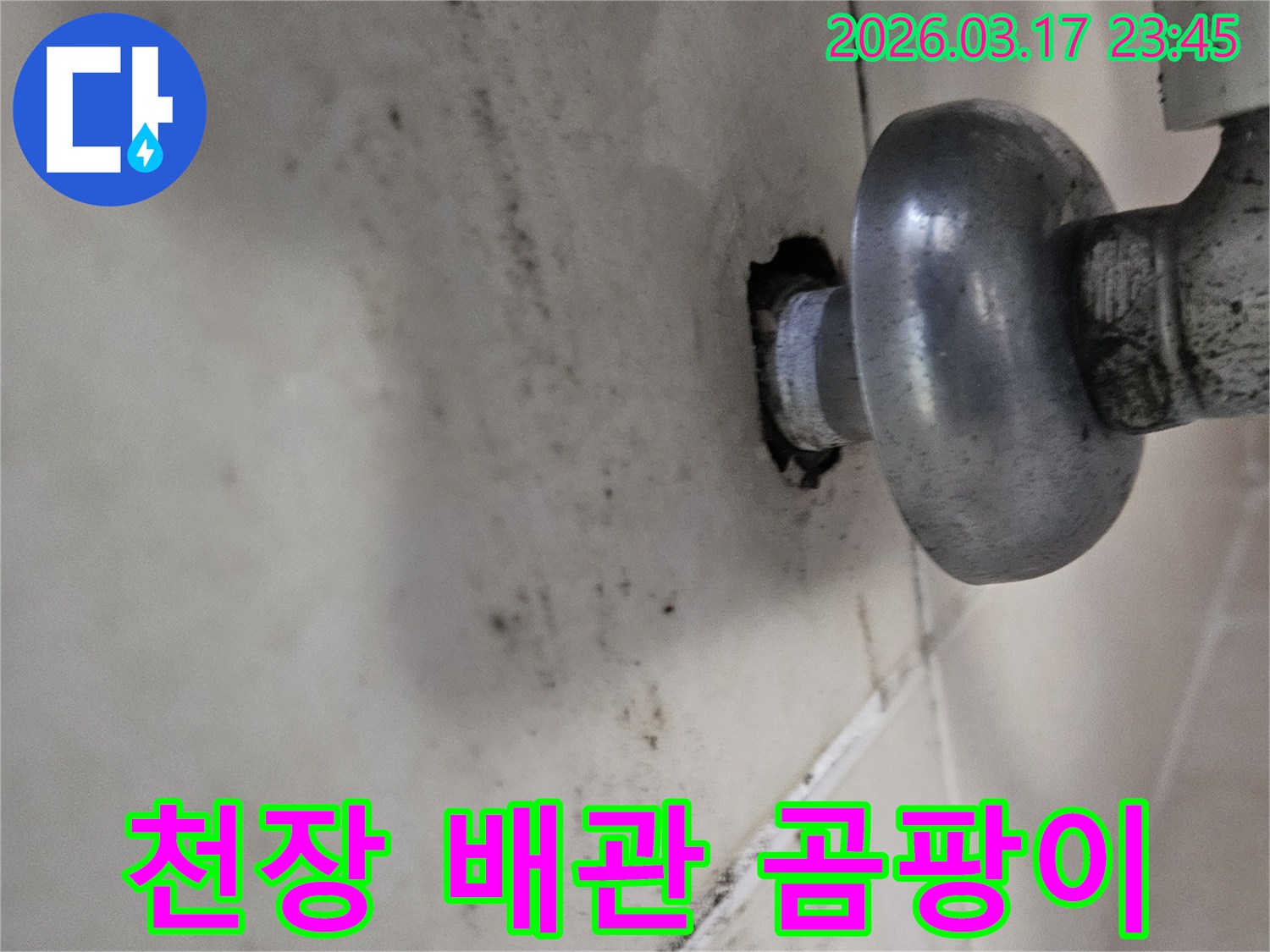 천장 배관 주변에 오래된 누수로 인해-심각하게 번진 곰팡이와 물때가 보입니다