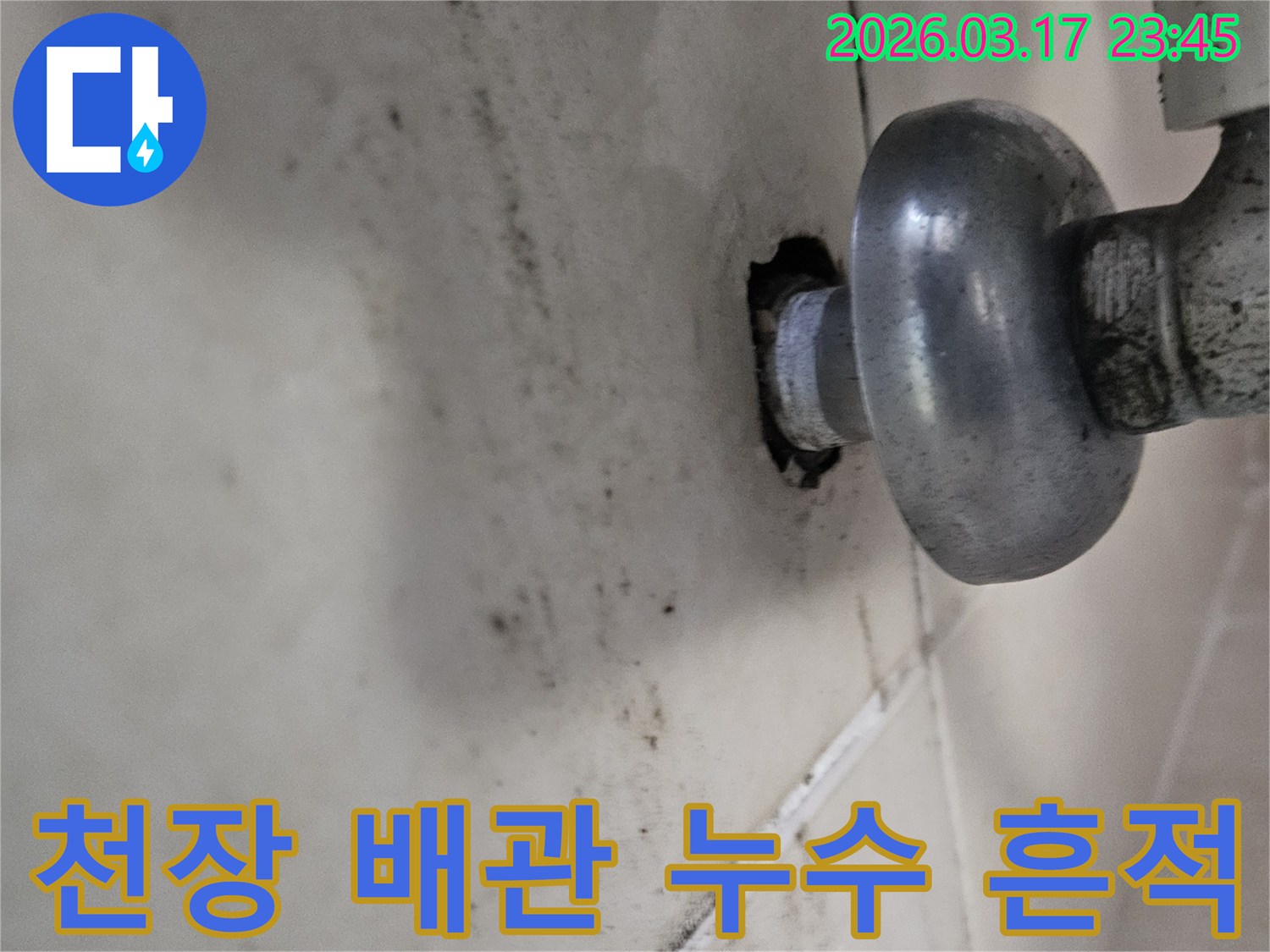 천장에서 발견된 배관 누수 흔적-오염과 곰팡이가 심각합니다