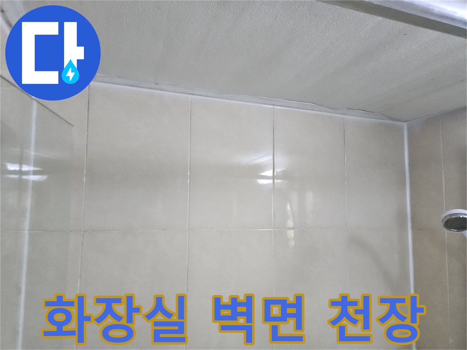 화장실-벽면-타일과-천장-경계