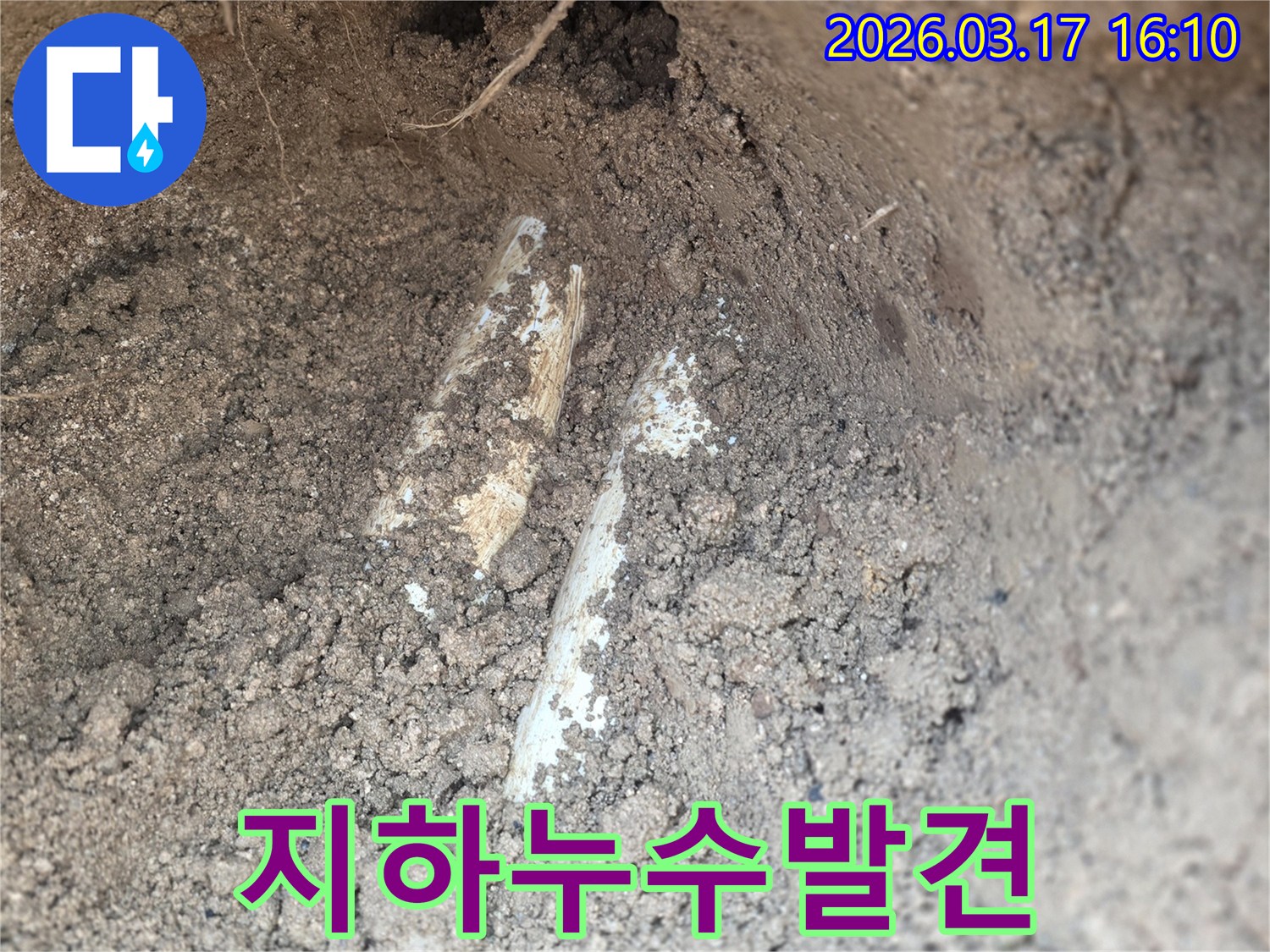 누수 공사를 위해-땅속에 묻힌 배관을-조심스럽게 노출시킨 장면입니다.