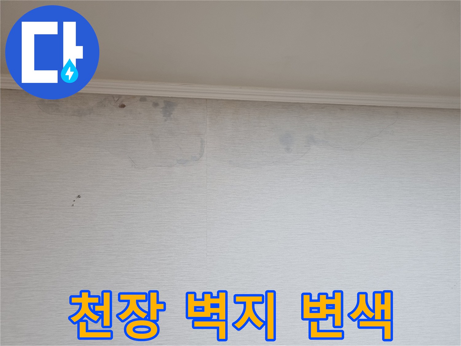 분당 정자동 아파트 거실 천장의 벽지 변색 및 얼룩 상태