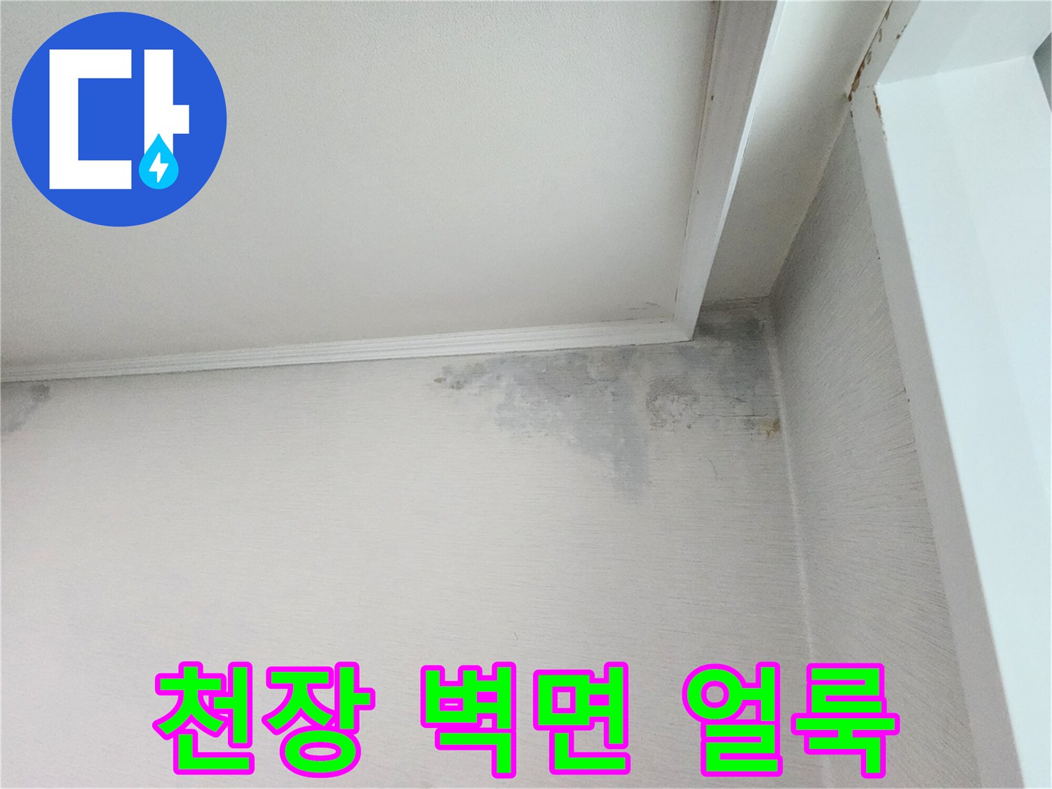 분당 정자동 아파트-천장 구석 벽면의 누수 흔적과 곰팡이 상태