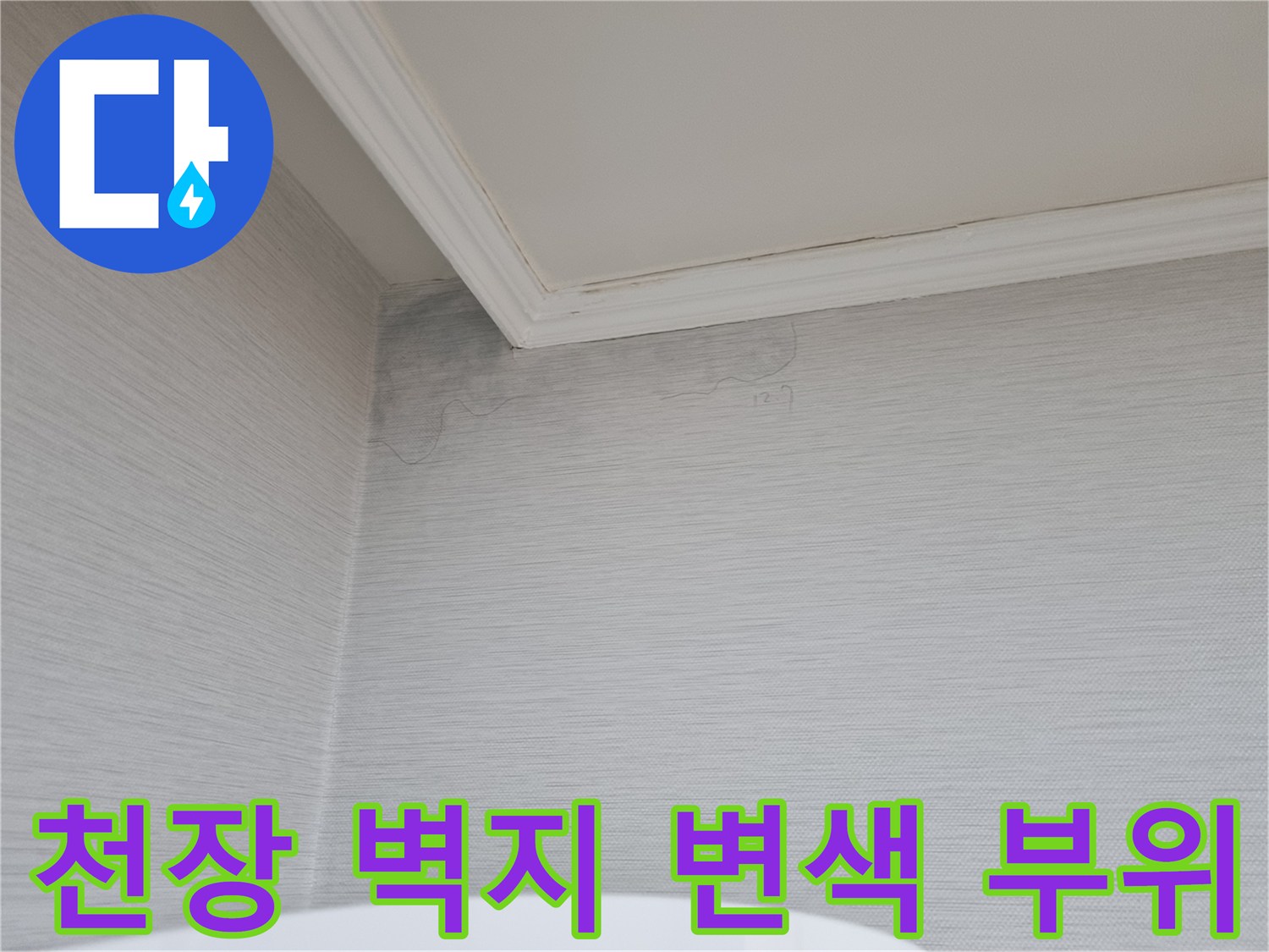 분당 정자동 아파트 천장 구석의 누수 흔적과 벽지 변색 상태를 보여주는 사진입니다.