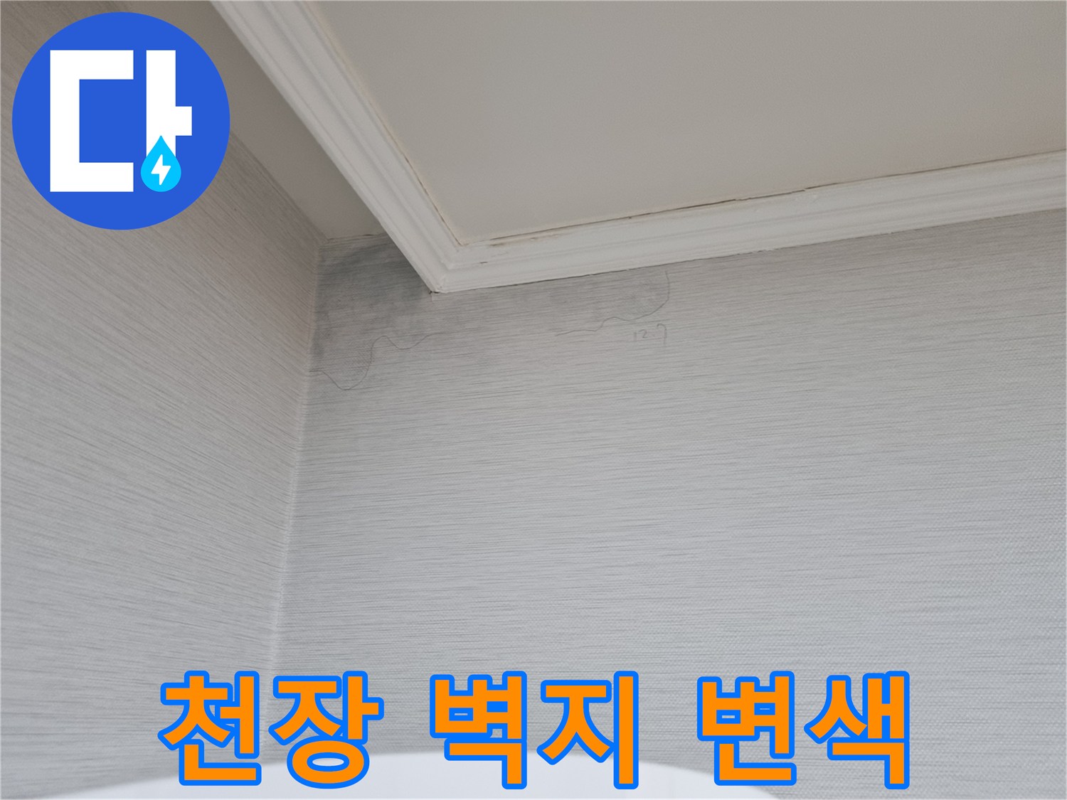 분당 정자동 아파트 천장 구석의 물샘 흔적과 벽지 오염 상태