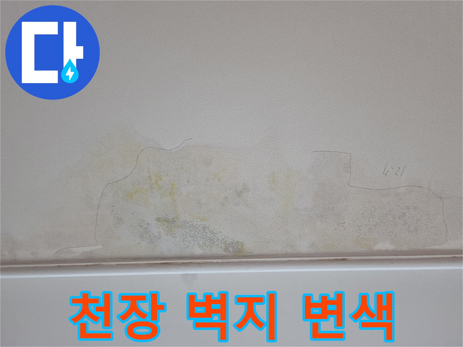분당 정자동 아파트의 천장 벽지가 물샘으로 인해 노랗게 변색된 상태입니다.