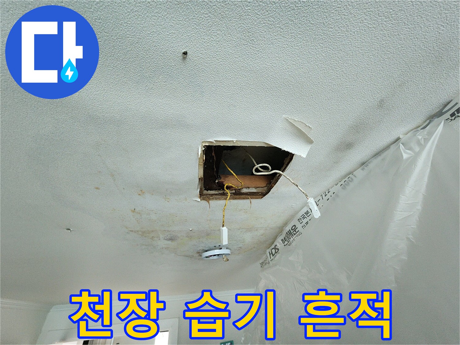천장-절개-부위의-습윤한-상태-및-얼룩